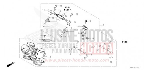 CORPS DE PAPILLON CRF1100D2N de 2022